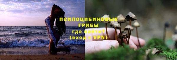 тгк Тихвин