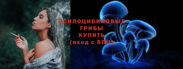 не бодяженный Горно-Алтайск