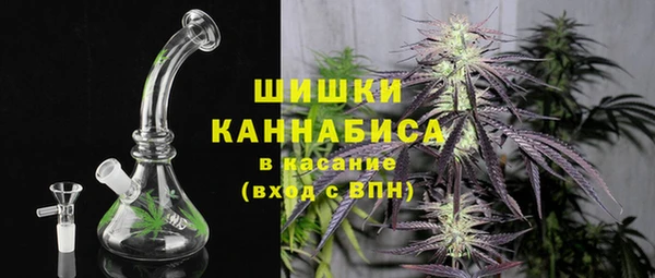 не бодяженный Горно-Алтайск