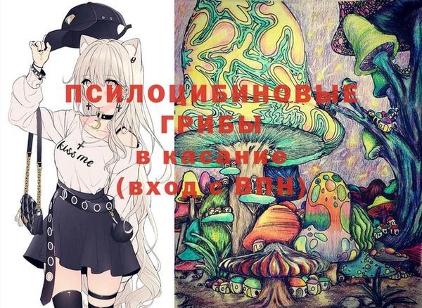 a pvp Дмитриев