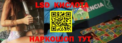 гидропоника Камышлов