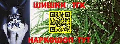 гидропоника Камышлов