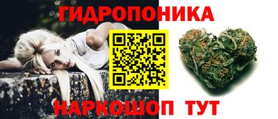 гидропоника Камышлов