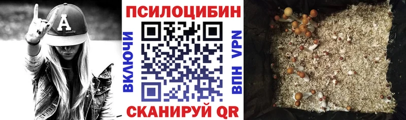 даркнет телеграм  Ейск  Псилоцибиновые грибы Cubensis 
